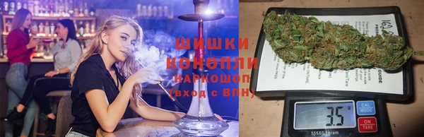 сатива Алзамай