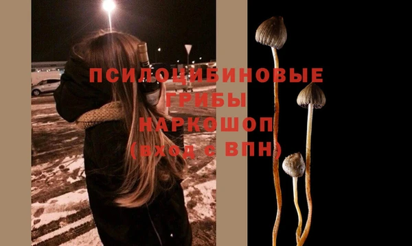 хмурый Зеленодольск