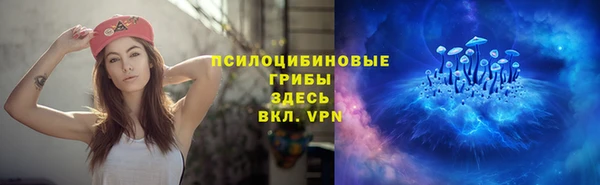 эйфоретик Ладушкин
