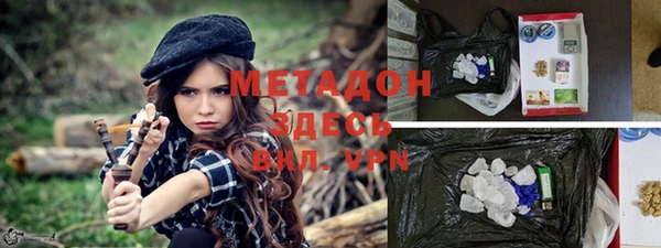 сатива Алзамай