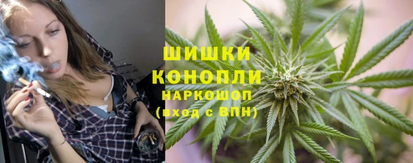 сатива Алзамай