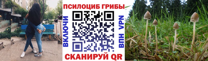 нарко площадка как зайти  блэк спрут зеркало  Мегион  Галлюциногенные грибы Magic Shrooms 